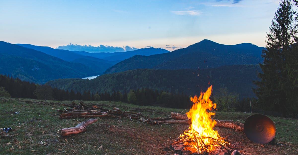 découvrez l'univers du libertin camping, où liberté et plaisirs se rencontrent dans un cadre naturel privilégié. profitez d'installations confortables, d'activités sensuelles et d'une atmosphère conviviale pour des vacances inoubliables entre adultes.