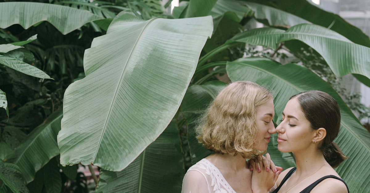 découvrez les facettes de la passion et de l'aspiration avec 'desire', une exploration captivante des désirs humains qui nous poussent à vivre intensément. un voyage au cœur des émotions, des envies et des rêves inassouvis.